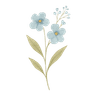Gifts